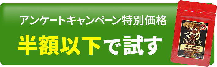 アンケートキャンペーン特別価格 半額以下で試す