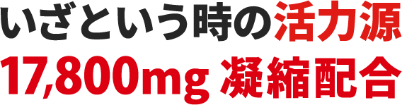 いざというときの活力源17,800mg凝縮配合